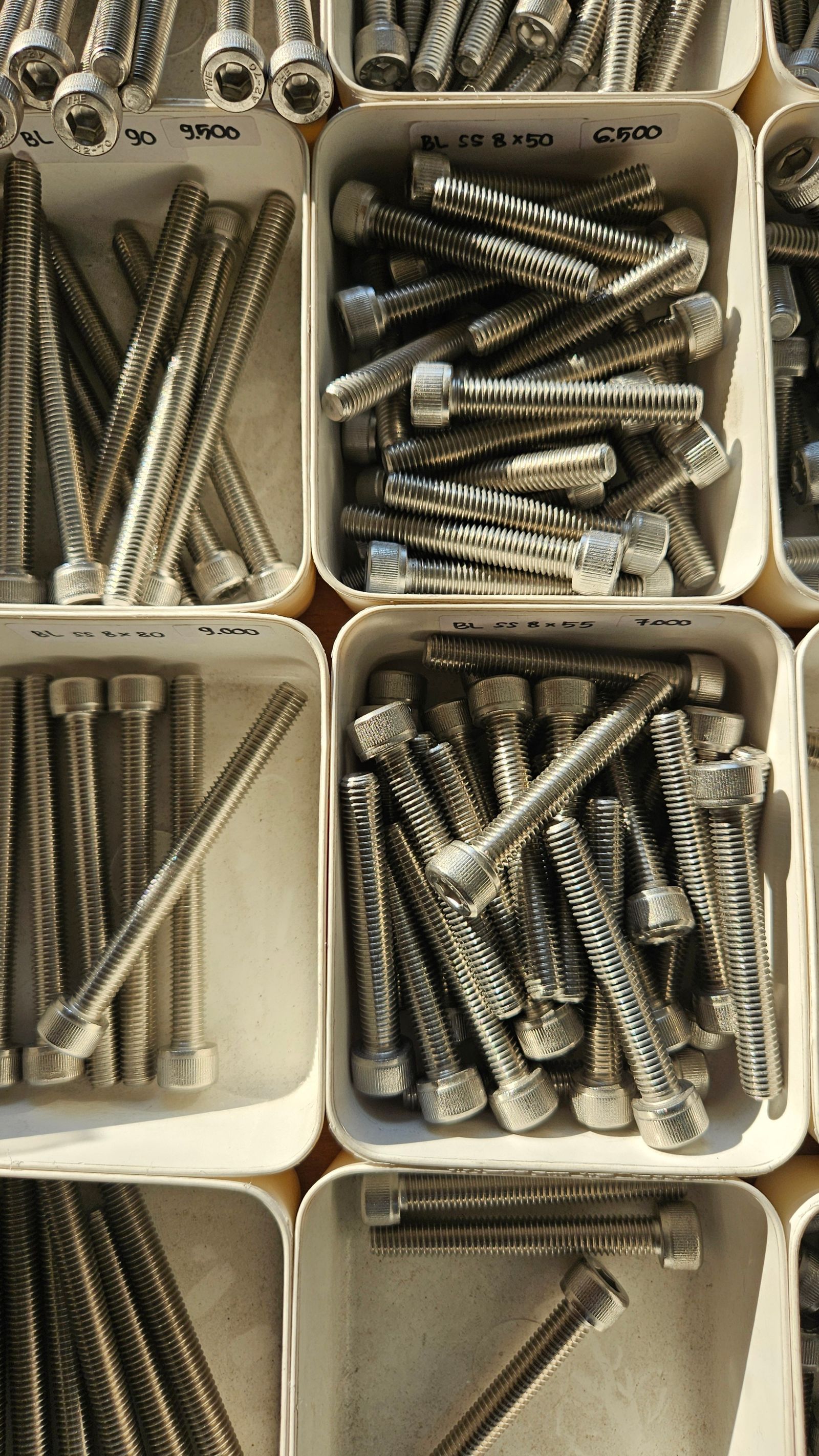 Top-down view of white plastic bins full of stainless-steel socket-head bolts of different lengths, each bin hand-labelled with a size and a price.